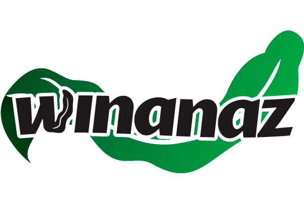Logo winanaz 4